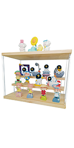 display case for figure