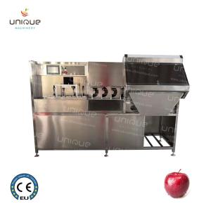 China Fruit Peeling Function Commercial Electric Apple Peeler Corer Slicer 2500*1000*1500 mm on sale
