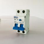 Type A RCD Circuit Breaker NBSL1-100 Series With Current Limiting Performance