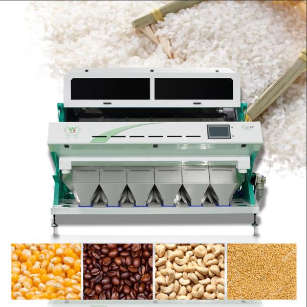 High Capacity Wheat Color Sorter Wheat Cleaning Machine Wheat Color Sorting