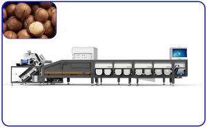 Buy cheap Industrial Grading Sorting Machine 50Hz 16 Channel For Macadamia Nuts product