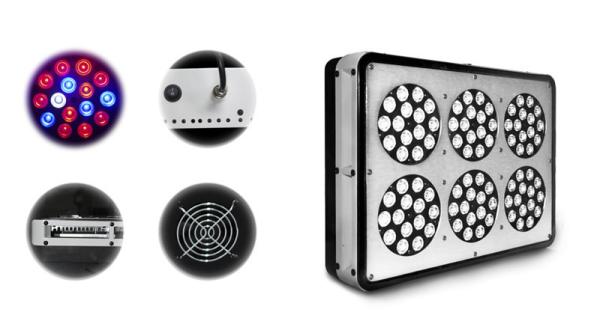 Quality customize 270w apollo led grow light promotion for garden show with 3 years warranty for sale
