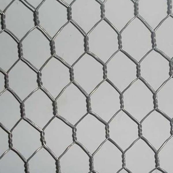 PVC Coated Cage Coop Fence Wire Mesh Rolls Hexagonal Wire Mesh Netting For Stone