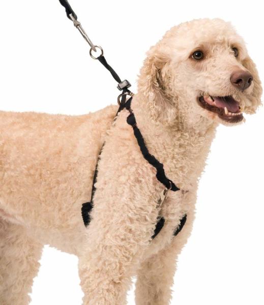 Quality Easy Step In No Choke Dog Training Collars Halter With Detachable Restraints for sale