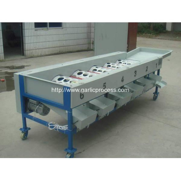 automatic-garlic-sorting-machine-garlic-grader-machine-for-sale