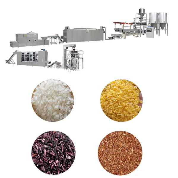 Quality Automatic Artificial Rice Extruder Machine 250kg/H for sale