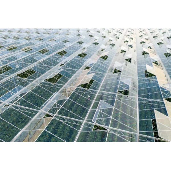 Drip Irrigation Glass Greenhouse Hydroponics System for Vegetables