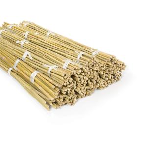 Buy cheap Garden Furniture Natural Bamboo Stakes Raw Bamboo Poles 40cm To 500cm Height product