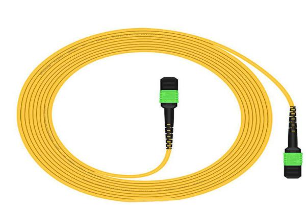 Quality Fiber Optic MPO Cable Female Connector Jumper 2m (6ft) OS2 9/125 24 Core Single Mode for sale