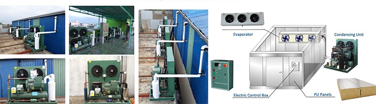 DD12  Hydrophilic aluminum fin air cooler evaporator coil with hinges Evaporator with expansion valve evaporator for cold room