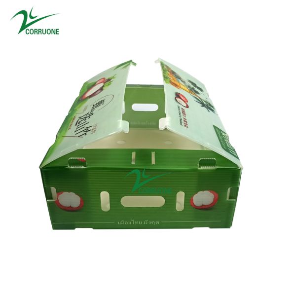 Broccoli PP Corrugated Sheet Box OEM Corrugated Polypropylene Boxes