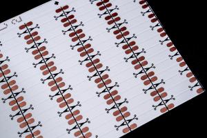 Buy cheap HOT 5050RGBW WW fpc High-Quality Flexible PCB Fast Prototype &amp; Mass Production Use For Led Light Double layer circuit board, double-sided WHITE film product