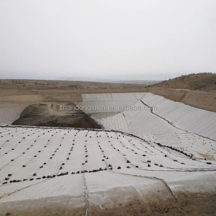 Black and White 3D Geocomposite Drainage Net Road Base Geonet Compound Net CE/ISO9001/ISO14001 Approved