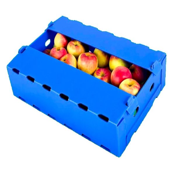 Foldable Waterproof Polypropylene Plastic Sheet Board Turnover Box