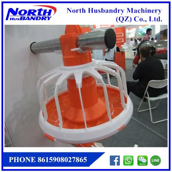 Quality Automatic Chicken Drinking and Feeding line system Poultry Equipment For Chicken for sale