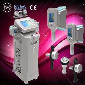 China Cryolipolysis machine CE ISO body sliming machine,cryolipolysis vacuum slimming machine wi on sale