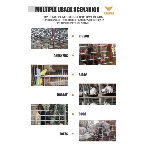 Hot Dipped Galvanized Welded Wire Mesh 14 16 Gauge Free Sample Offered