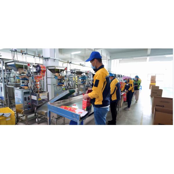 Noise Reduction Safety Ear Plugs For Personal Hearing Proctection