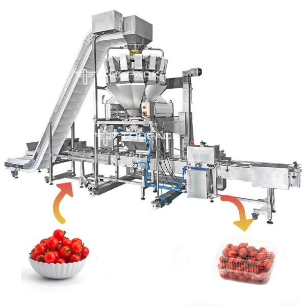 Quality Adjustable Platform Automatic Filling Machine 110BPM Tomato Weighing And Boxing Cartoning System for sale