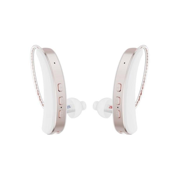 Quality Rechargeable Digital Hearing Loss Medical Device With Howling Detection for sale
