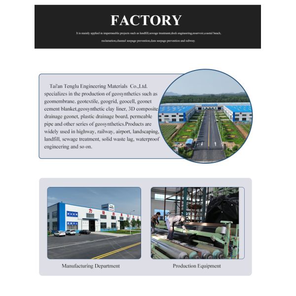 Best PP Biaxial Welded Geogrid for Slope Protection Road in Industrial Design Style