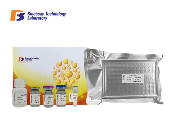 Quality Sandwich Type Mouse Interferon Gamma ELISA Kit With 2 Hours Assay Time for sale