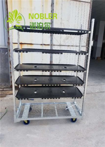 Quality Dutch Trolleys Shelf CC Racks for sale
