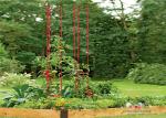 Durable Garden Metal Tomato Cages