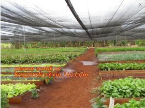China 30 mesh anti insect farm nets for greenhouse,100% pe transparent color greenhouse anti insect net for plant, agriculture on sale