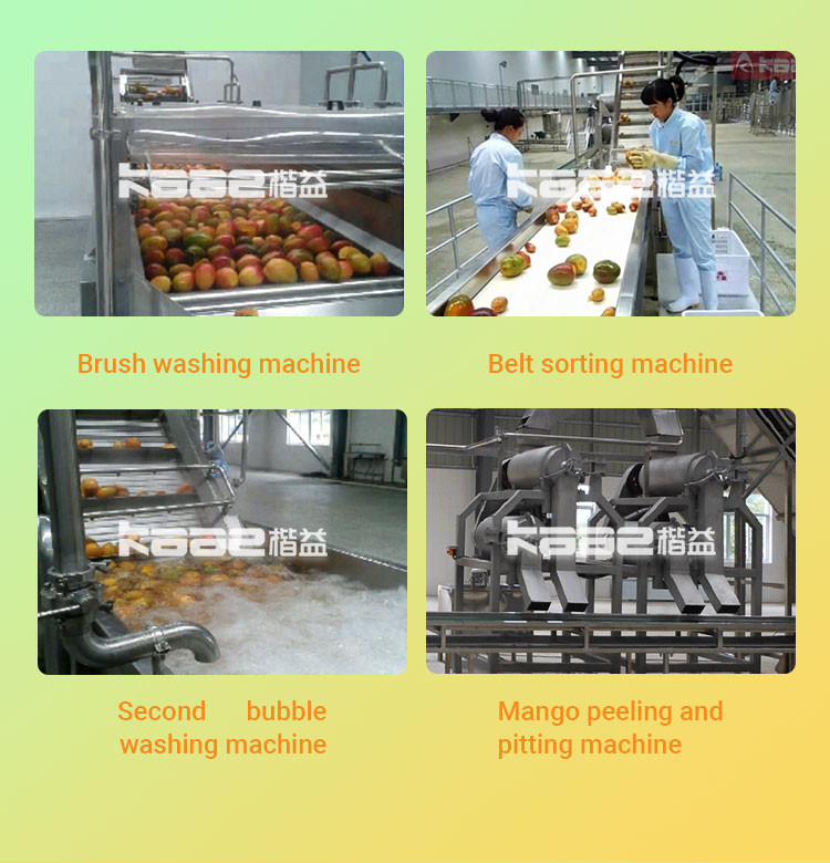 120T/H Mango Pulp Mango Processing Line Fruit Puree Production Line