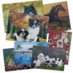 PLASTIC LENTICULAR PET 3D Lenticular Plastic Printing moving cards by 3d offset