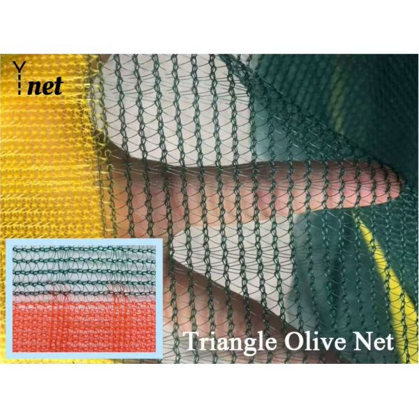 Hexagon Olive Harvest Net 30gsm - 200gsm Mulberry Harvesting Net