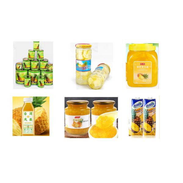 2-10T/H Pineapple Processing Line Stainless Steel Fully Automatic