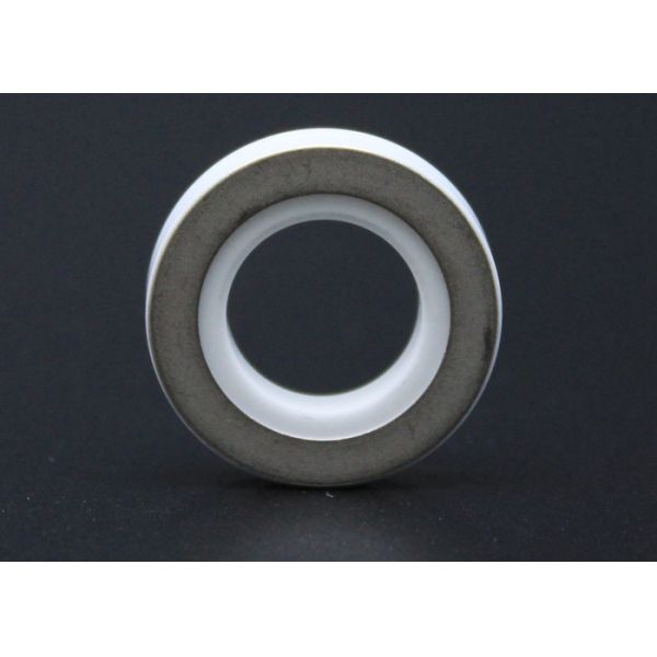 95% Aluminum Oxide Ceramic Ring For Power Battery