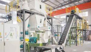 Rice Husk EFB Wood Pellet Production Line , Ring Die Pellet Making Machine