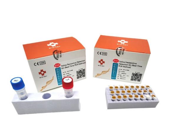 Quality Lep Feline Cat Test Kit DNA Polymerase Feline Leptospira Test Kit PCR Amplification for sale