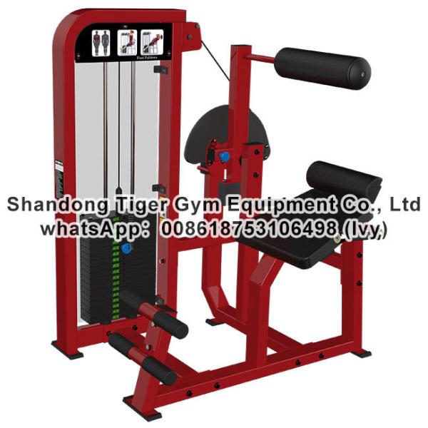 Quality Single Station Gym fitness equipment machine Back Extension exercise machine for sale