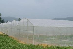 Buy cheap Waste Disposal Insect Mesh Netting Easywash 0.8 * 0.8mm For Horizontal Shed product