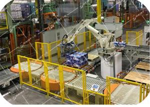 China High Automation Unit Load Conveyor For Cartons 50kg / Pc Load CE Certification on sale