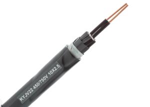 XLPE Insulation Flexible Control Cable Indoor Use KYJV22 Type PVC Sheathed