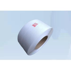 NVT Converter PP Strap Band Extrusion Line Screw Diameter 90mm