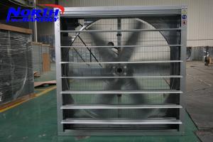 poultry meat trading companies