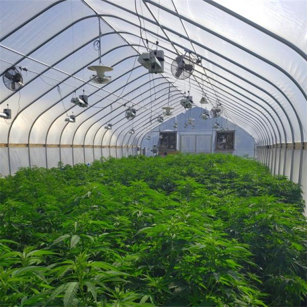 Quality Automatic Outside Shading Light Deprivation System Greenhouse OEM for sale
