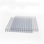 Modern Design 12mm Transparent Translucent Plastic Hollow Polycarbonate Wall
