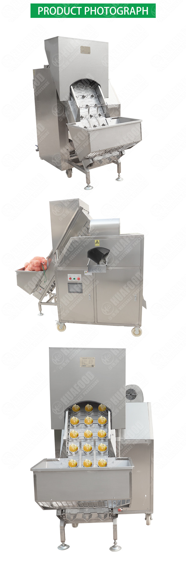 1.0MPa Washing Peeling Onion Processing Equipment