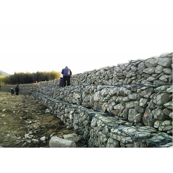 8x10 PVC Coated Gabion Basket 2.7mm Wire for River Bank