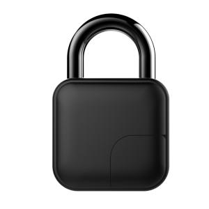 China Black L3 Tuya App Remote Control Anti Theft Padlock on sale