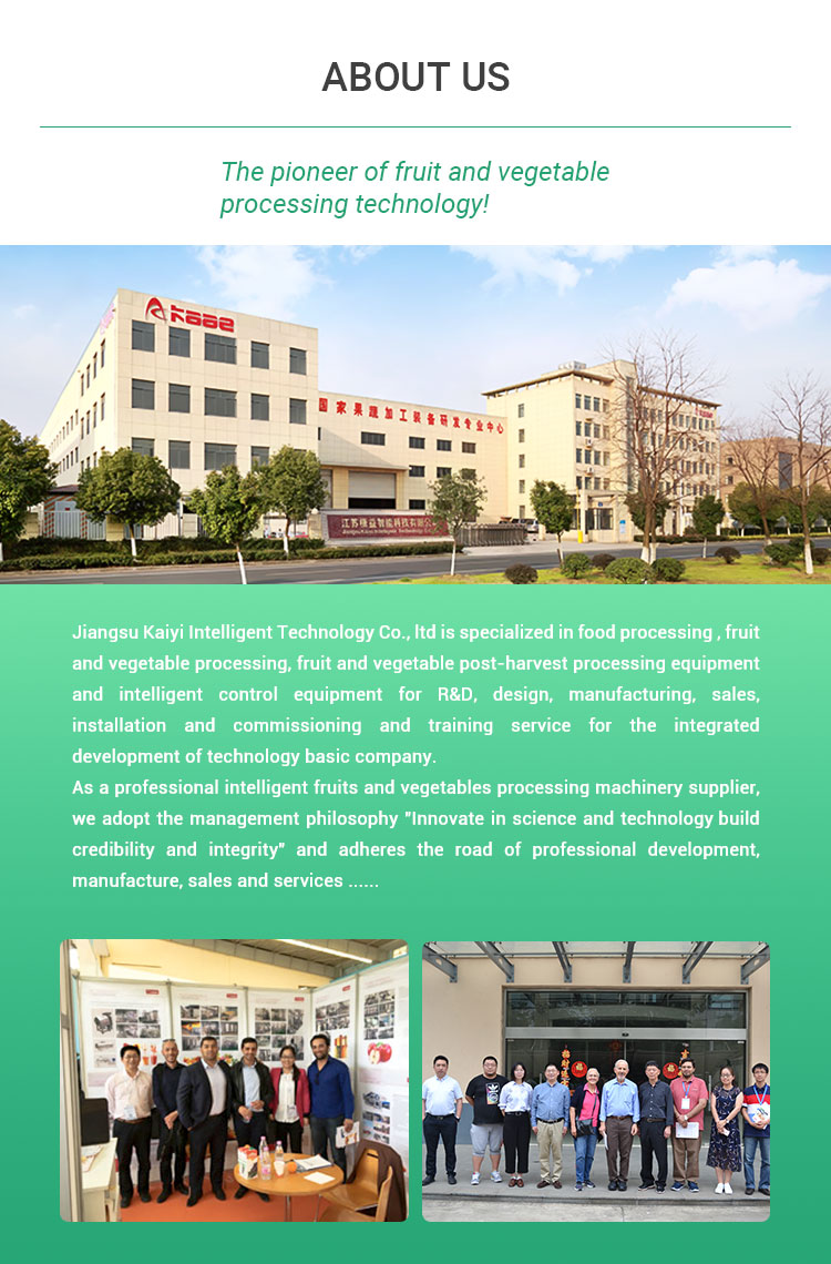 Intelligent Photoelectric Dates Sorting Machine Grading Equipment Machine
