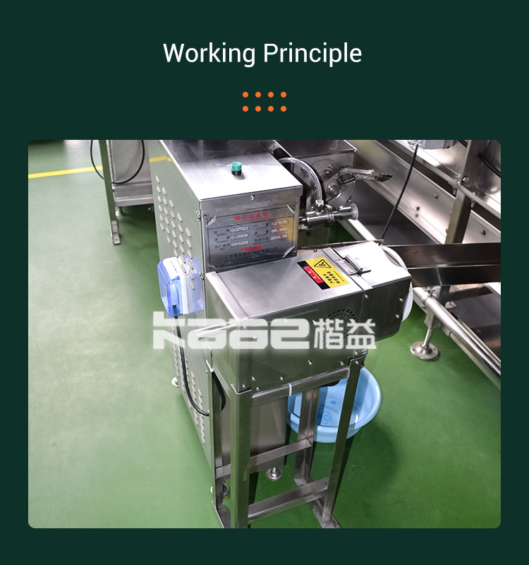Sus304 Persimmon Dryer Persimmon Stemming Machine For Persimmon Processing Line
