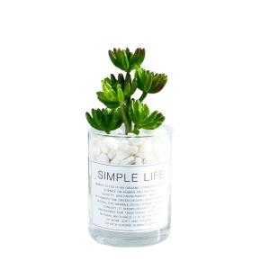 China Nordic Ins Green Artificial Succulent Plant Plastic Fleshy Small Potted Decorate on sale